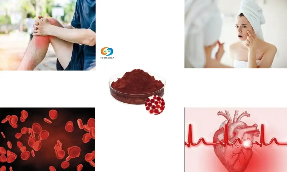 What is Haematococcus used for?